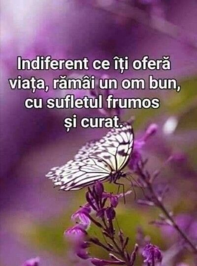Doresc sa colaborez cu o doamna antreprenor